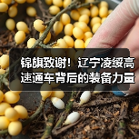 锦旗致谢!辽宁凌绥高速通车背后的装备力量 锦旗致谢!辽宁凌绥高速通车背后的装备力量
