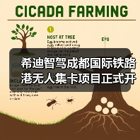 希迪智驾成都国际铁路港无人集卡项目正式开工