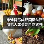 希迪智驾成都国际铁路港无人集卡项目正式开工