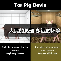 人民的总理 永远的怀念