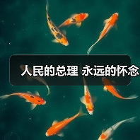 人民的总理 永远的怀念