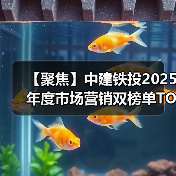 【聚焦】中建铁投2025年度市场营销双榜单TOP5火热出炉