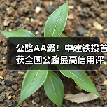 公路AA级！中建铁投首获全国公路最高信用评价