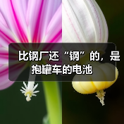 比钢厂还“钢”的，是抱罐车的电池