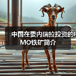 中国在委内瑞拉投资的FMO铁矿简介
