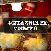 中国在委内瑞拉投资的FMO铁矿简介