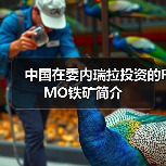 中国在委内瑞拉投资的FMO铁矿简介