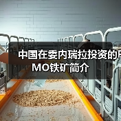 中国在委内瑞拉投资的FMO铁矿简介