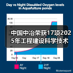 中国中冶荣获17项2025年工程建设科学技术奖 中国中冶荣获17项2025年工程建设科学技术奖