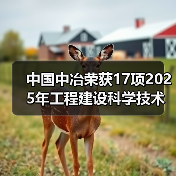 中国中冶荣获17项2025年工程建设科学技术奖 中国中冶荣获17项2025年工程建设科学技术奖
