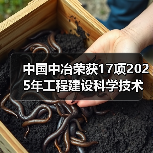 中国中冶荣获17项2025年工程建设科学技术奖 中国中冶荣获17项2025年工程建设科学技术奖