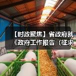 【时政聚焦】省政府就《政府工作报告（征求意见稿）》和“十五五