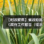 【时政聚焦】省政府就《政府工作报告（征求意见稿）》和“十五五