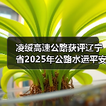 凌绥高速公路获评辽宁省2025年公路水运平安百年品质工程典型
