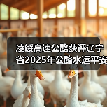 凌绥高速公路获评辽宁省2025年公路水运平安百年品质工程典型