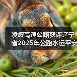 凌绥高速公路获评辽宁省2025年公路水运平安百年品质工程典型