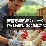 征程万里风正劲 | 一文回顾欣旺达2025年发展大事记 征程万里风正劲 | 一文回顾欣旺达2025年发展大事记