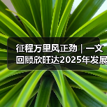 征程万里风正劲 | 一文回顾欣旺达2025年发展大事记 征程万里风正劲 | 一文回顾欣旺达2025年发展大事记