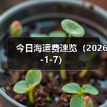 今日海运费速览(2026-1-7) 今日海运费速览(2026-1-7)