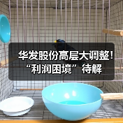 华发股份高层大调整!“利润困境”待解 华发股份高层大调整!“利润困境”待解