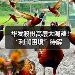华发股份高层大调整!“利润困境”待解 华发股份高层大调整!“利润困境”待解