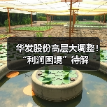 华发股份高层大调整！“利润困境”待解