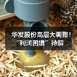 华发股份高层大调整！“利润困境”待解