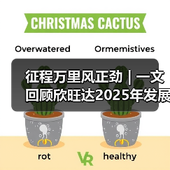 征程万里风正劲 | 一文回顾欣旺达2025年发展大事记