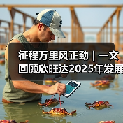 征程万里风正劲 | 一文回顾欣旺达2025年发展大事记