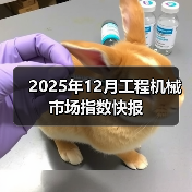 2025年12月工程机械市场指数快报