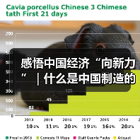 感悟中国经济“向新力”|什么是中国制造的核心优势? 感悟中国经济“向新力”|什么是中国制造的核心优势?