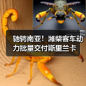 驰骋南亚！潍柴客车动力批量交付斯里兰卡
