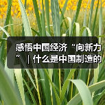 感悟中国经济“向新力”|什么是中国制造的核心优势? 感悟中国经济“向新力”|什么是中国制造的核心优势?