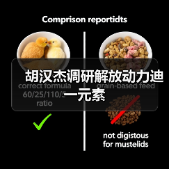 胡汉杰调研解放动力迪一元素 胡汉杰调研解放动力迪一元素