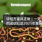 征程万里风正劲 | 一文回顾欣旺达2025年发展大事记