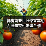 驰骋南亚！潍柴客车动力批量交付斯里兰卡
