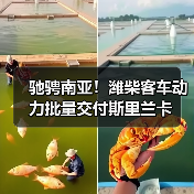 驰骋南亚！潍柴客车动力批量交付斯里兰卡