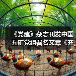 《党建》杂志刊发中国五矿党组署名文章《充分发挥党建引领保障作