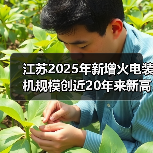 江苏2025年新增火电装机规模创近20年来新高