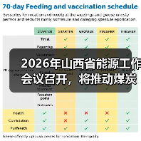 2026年山西省能源工作会议召开，将推动煤炭产业产品实现“两