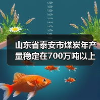 山东省泰安市煤炭年产量稳定在700万吨以上 山东省泰安市煤炭年产量稳定在700万吨以上
