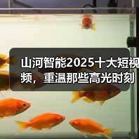 山河智能2025十大短视频，重温那些高光时刻