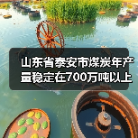 山东省泰安市煤炭年产量稳定在700万吨以上 山东省泰安市煤炭年产量稳定在700万吨以上