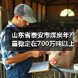 山东省泰安市煤炭年产量稳定在700万吨以上 山东省泰安市煤炭年产量稳定在700万吨以上