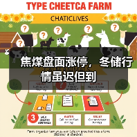 焦煤盘面涨停，冬储行情虽迟但到