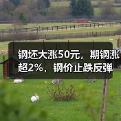 钢坯大涨50元,期钢涨超2%,钢价止跌反弹 钢坯大涨50元,期钢涨超2%,钢价止跌反弹