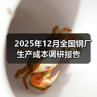 2025年12月全国钢厂生产成本调研报告