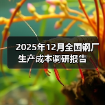 2025年12月全国钢厂生产成本调研报告