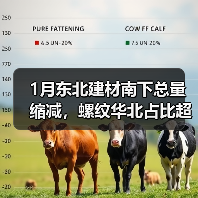 1月东北建材南下总量缩减,螺纹华北占比超九成 1月东北建材南下总量缩减,螺纹华北占比超九成