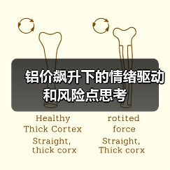铝价飙升下的情绪驱动和风险点思考